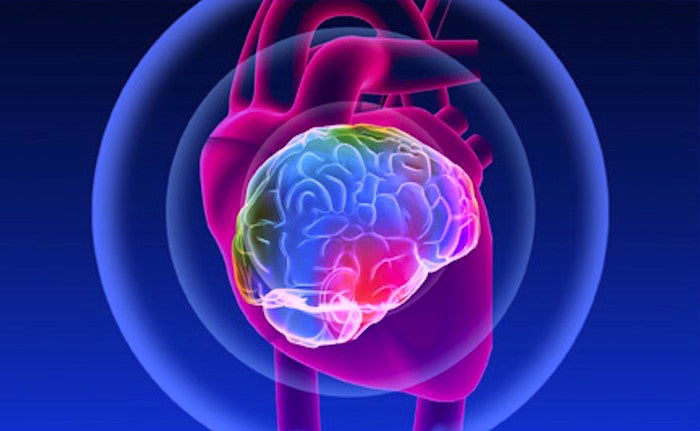 La Inteligencia del Corazón: ¿Es el Corazón Otro “Cerebro”?
